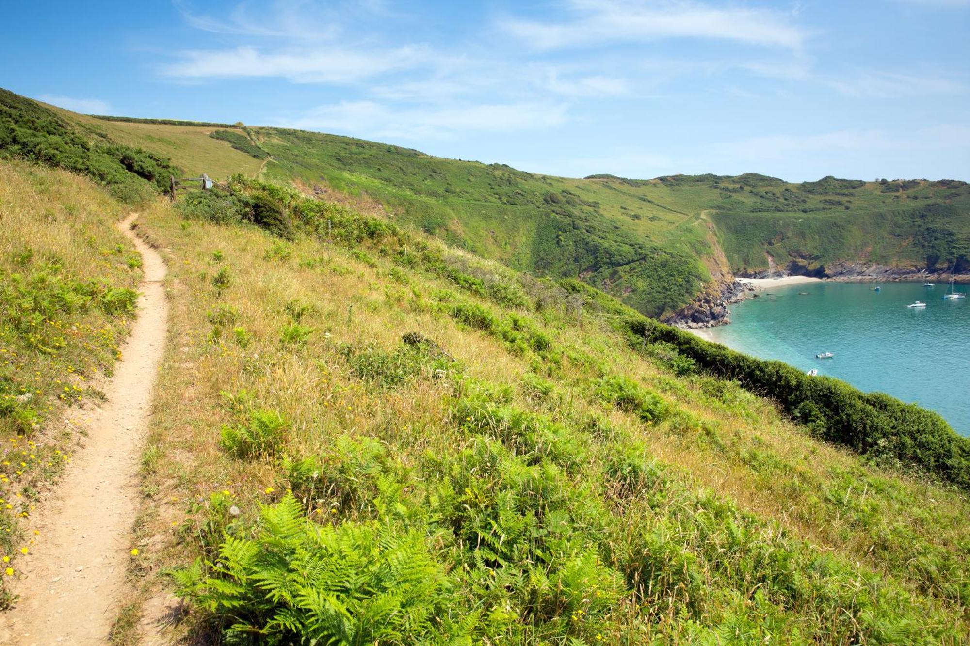 Jessamine: Restored Fisherman'S Cottage Close To Looe'S Harbour 外观 照片